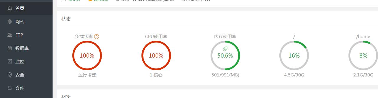 宝塔面板负载100%，CPU使用率100%