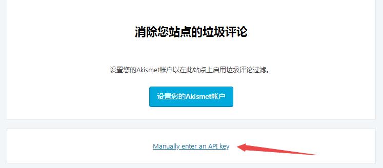 点击Manually enter an API key，手动输入API key