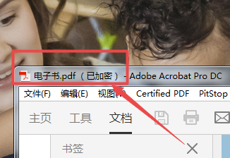 PDF文件解密 密码移除 PDF解锁软件winDecrypt免费下载