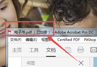 pdf已加密